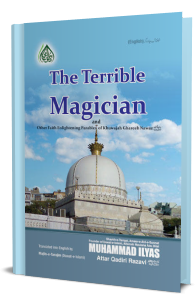 The Terrible Magician