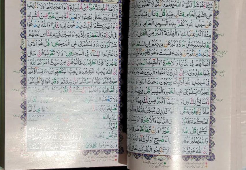 Quran Kareem (Tajweed Z55T Color)