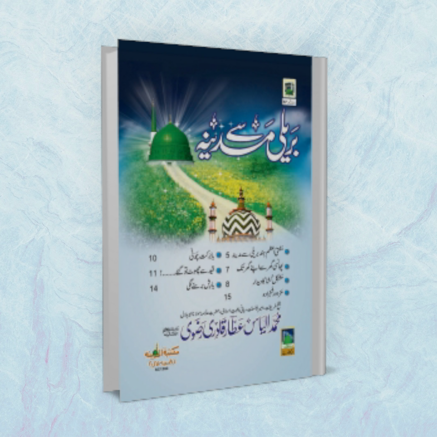 Bareilly to Madinah - Bareilly Se Madinah