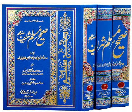 Sahih Muslim (Arabic to Urdu) [3 Vol Set]
